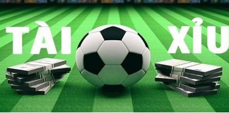 Giới thiệu khái quát về trang cá độ bóng đá