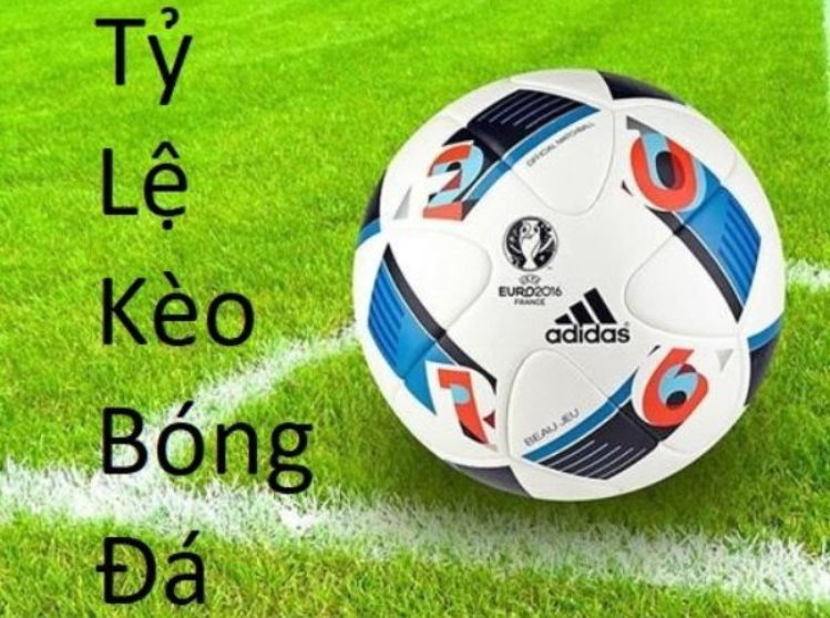 Tỷ lệ kèo bóng đá tại nhà cái là gì?