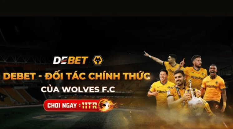 Tổng quan đôi nét về thương hiệu nhà cái Debet Tổng quan đôi nét về thương hiệu nhà cái Debet